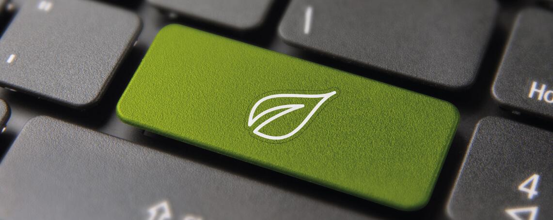 Digitalização sustentável para uma transição ecológica