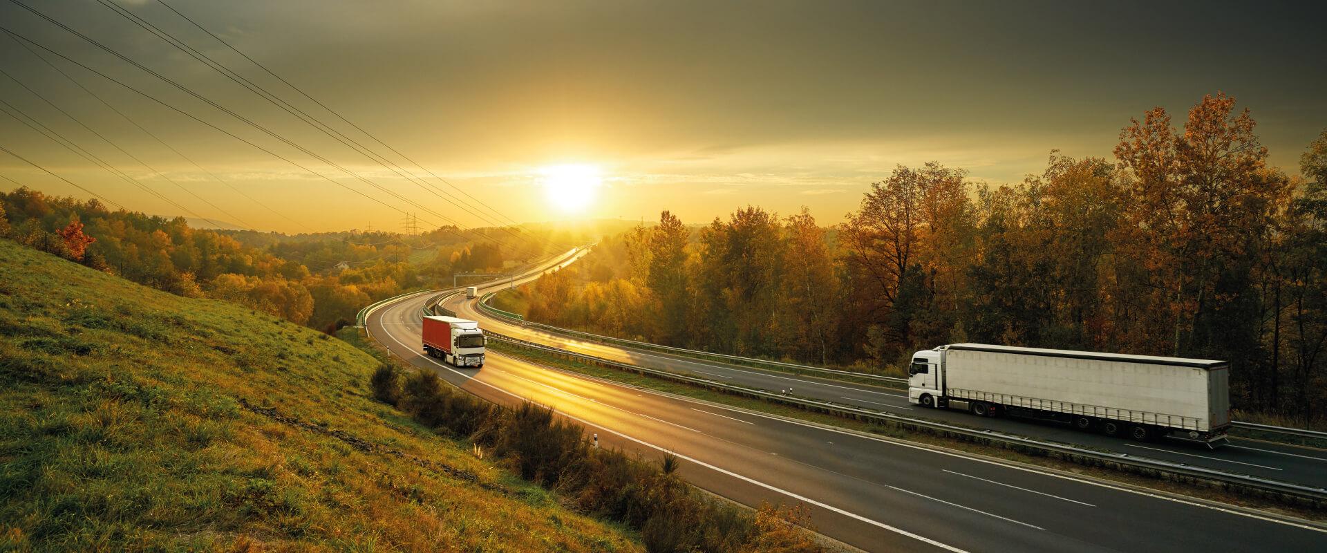 alvarás eletrónicos obrigatórios